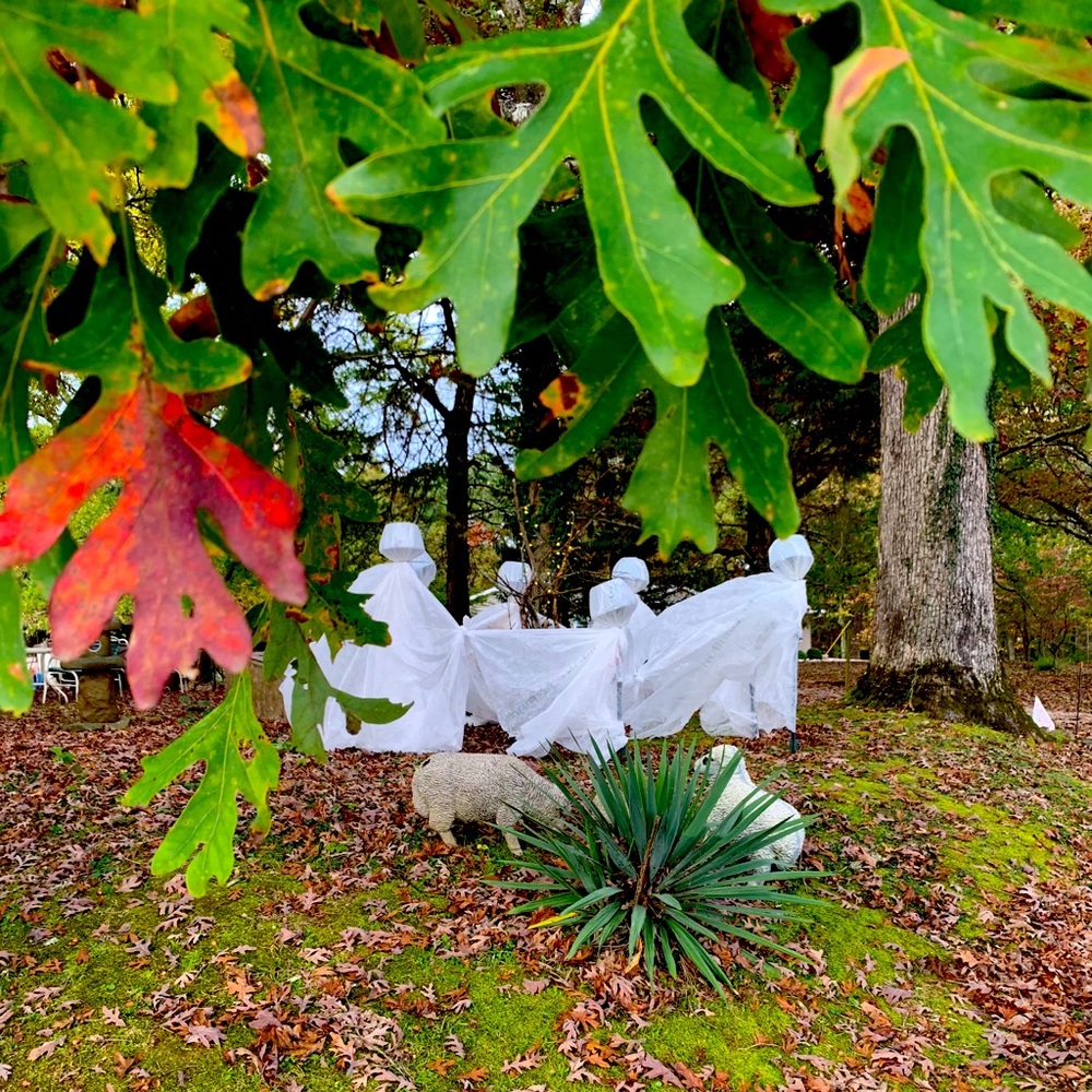 Meet your Posher, Krys